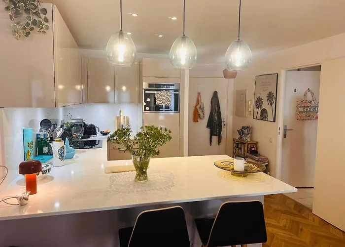 Lovely One Bedroom Apartment With Balcony & Wifi Just Minutes Walk From Palais And Cannes Beaches 109